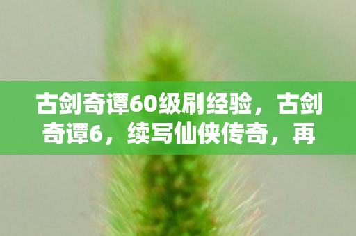 古剑奇谭60级刷经验，古剑奇谭6，续写仙侠传奇，再燃经典之魂