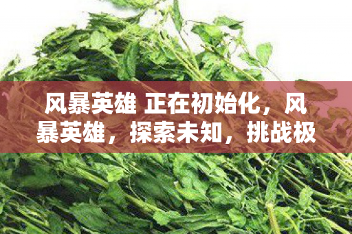 风暴英雄 正在初始化，风暴英雄，探索未知，挑战极限