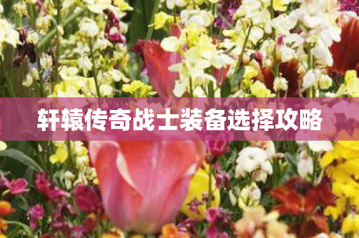 轩辕传奇战士装备选择攻略