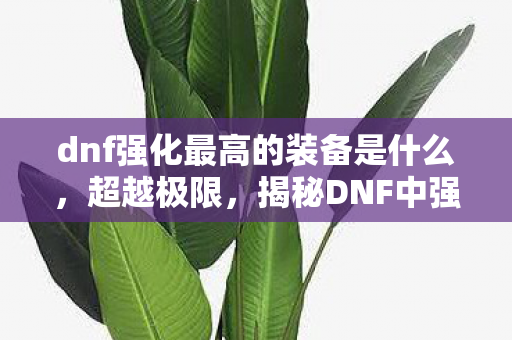 dnf强化最高的装备是什么，超越极限，揭秘DNF中强化最高的装备