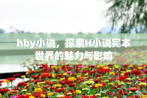 hby小说，探索H小说完本世界的魅力与影响
