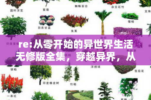 re:从零开始的异世界生活无修版全集，穿越异界，从零开始的冒险之旅