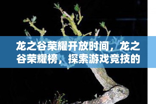 龙之谷荣耀开放时间，龙之谷荣耀榜，探索游戏竞技的巅峰