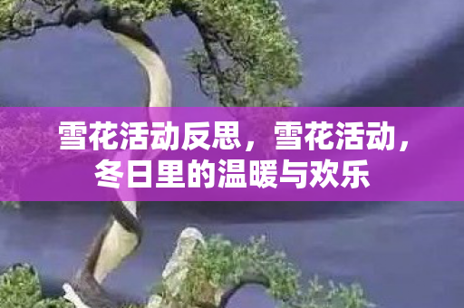 雪花活动反思，雪花活动，冬日里的温暖与欢乐