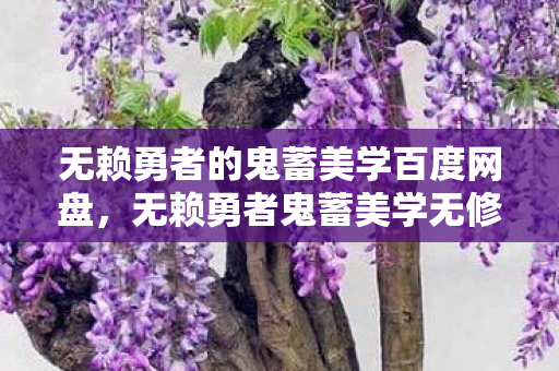 无赖勇者的鬼蓄美学百度网盘，无赖勇者鬼蓄美学无修版，探索游戏世界的独特美学