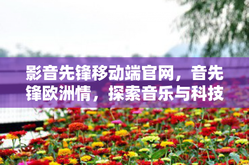 影音先锋移动端官网，音先锋欧洲情，探索音乐与科技的完美融合