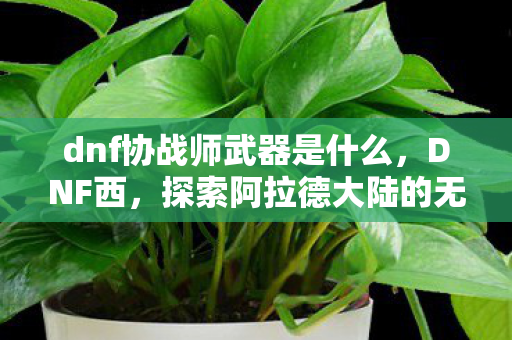 dnf协战师武器是什么，DNF西，探索阿拉德大陆的无限可能