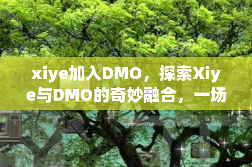 xiye加入DMO，探索Xiye与DMO的奇妙融合，一场游戏竞技的革新之旅