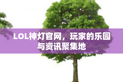 LOL神灯官网，玩家的乐园与资讯聚集地