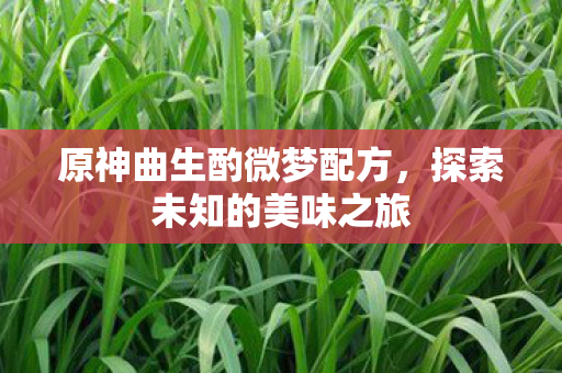 原神曲生酌微梦配方，探索未知的美味之旅