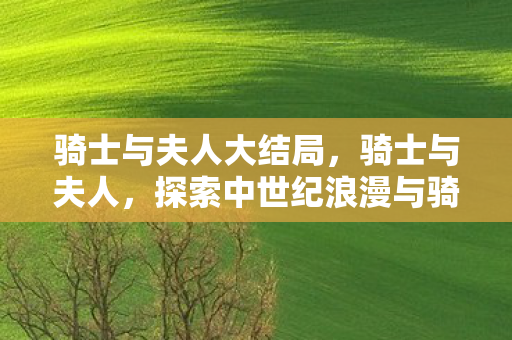 骑士与夫人大结局，骑士与夫人，探索中世纪浪漫与骑士精神的传奇故事