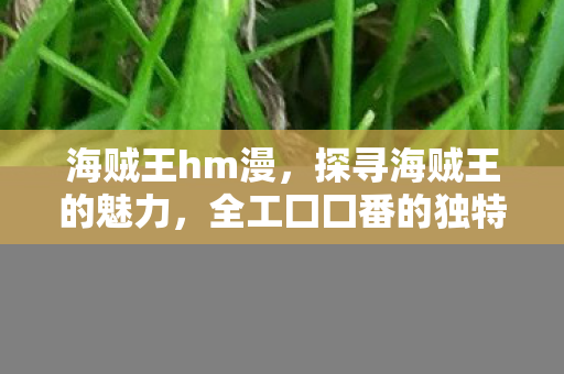 海贼王hm漫，探寻海贼王的魅力，全工囗囗番的独特之处