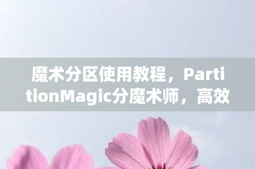 魔术分区使用教程，PartitionMagic分魔术师，高效磁盘管理的艺术