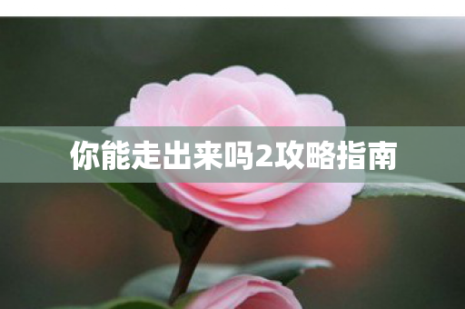你能走出来吗2攻略指南