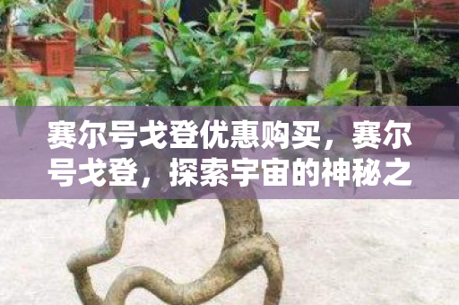 赛尔号戈登优惠购买，赛尔号戈登，探索宇宙的神秘之旅