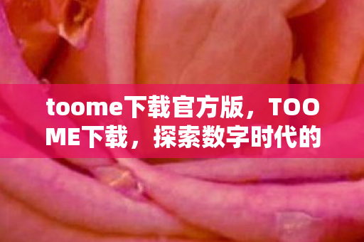 toome下载官方版，TOOME下载，探索数字时代的便捷与无限可能