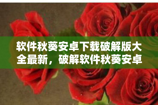 软件秋葵安卓下载破解版大全最新，破解软件秋葵安卓下载，便捷与风险并存