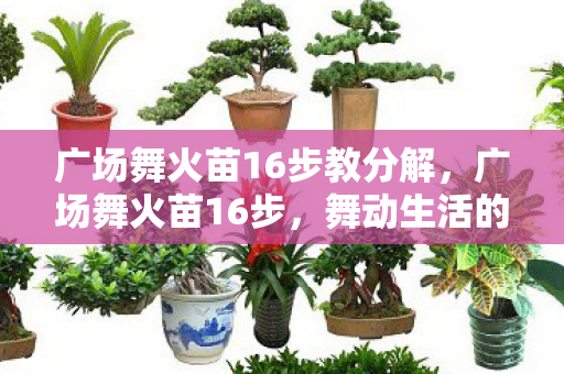 广场舞火苗16步教分解，广场舞火苗16步，舞动生活的旋律