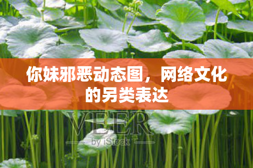 你妹邪恶动态图，网络文化的另类表达