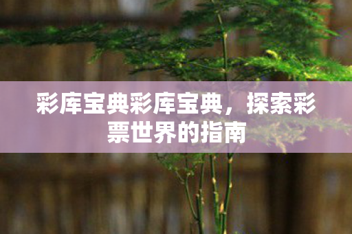 彩库宝典彩库宝典，探索彩票世界的指南