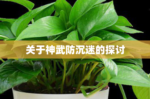 关于神武防沉迷的探讨 关于神武防沉迷的探讨