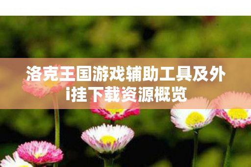 洛克王国游戏辅助工具及外i挂下载资源概览