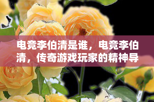 电竞李伯清是谁，电竞李伯清，传奇游戏玩家的精神导师