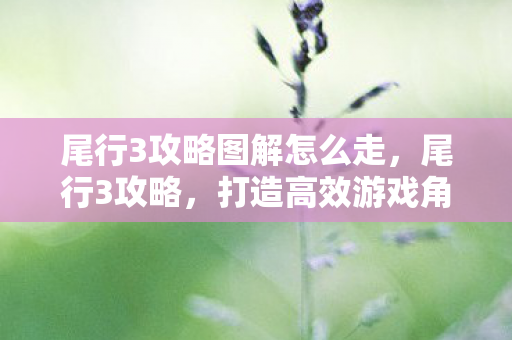 尾行3攻略图解怎么走，尾行3攻略，打造高效游戏角色与策略指南