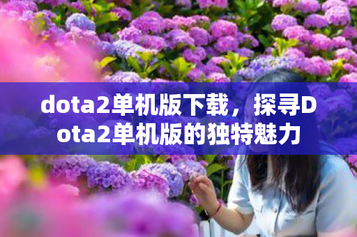 dota2单机版下载，探寻Dota2单机版的独特魅力