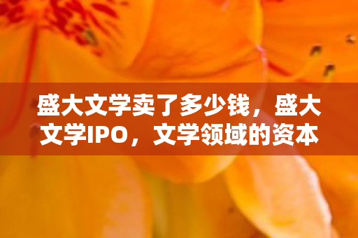 盛大文学卖了多少钱，盛大文学IPO，文学领域的资本盛宴