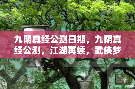 九阴真经公测日期，九阴真经公测，江湖再续，武侠梦再起