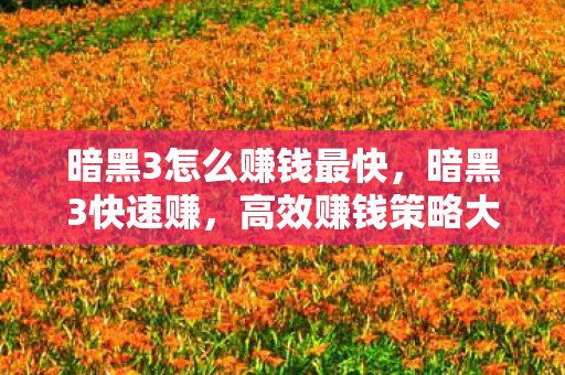 暗黑3怎么赚钱最快，暗黑3快速赚，高效赚钱策略大揭秘