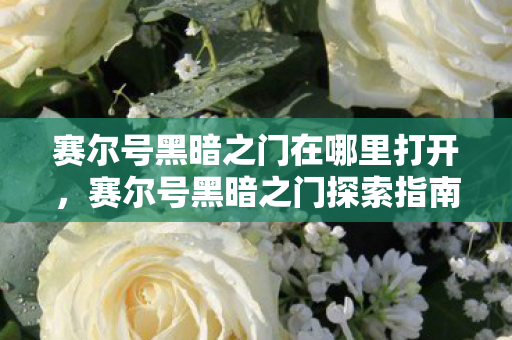 赛尔号黑暗之门在哪里打开，赛尔号黑暗之门探索指南，揭秘未知领域的神秘入口