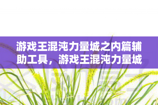 游戏王混沌力量城之内篇辅助工具，游戏王混沌力量城之内篇修改器，解锁无限可能的策略游戏新体验