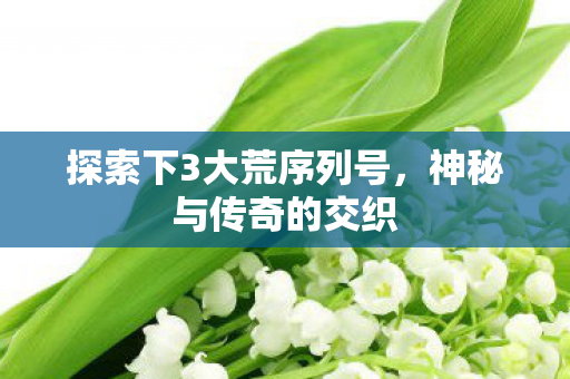 探索下3大荒序列号，神秘与传奇的交织