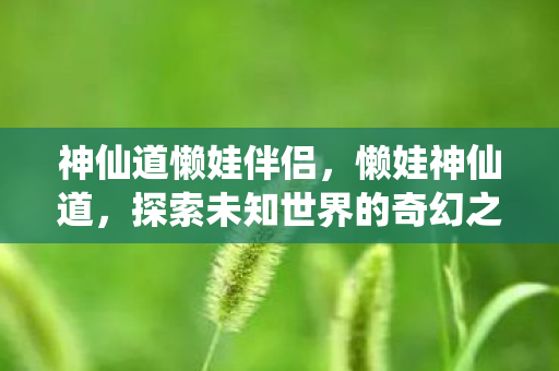神仙道懒娃伴侣，懒娃神仙道，探索未知世界的奇幻之旅