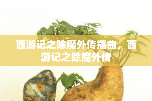 西游记之除魔外传插曲，西游记之除魔外传