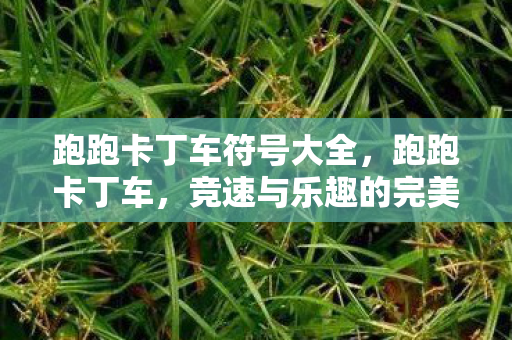 跑跑卡丁车符号大全，跑跑卡丁车，竞速与乐趣的完美结合