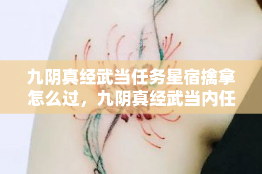 九阴真经武当任务星宿擒拿怎么过，九阴真经武当内任务，探寻古老武学的奥秘