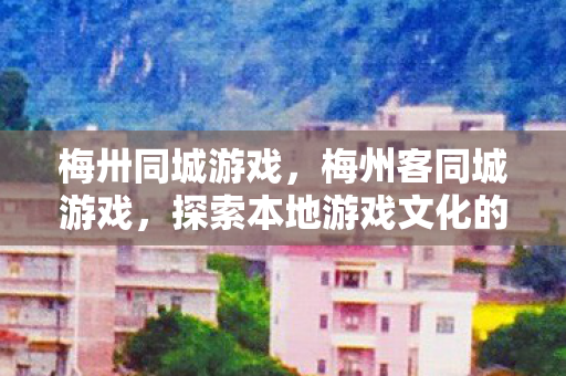 梅卅同城游戏，梅州客同城游戏，探索本地游戏文化的魅力