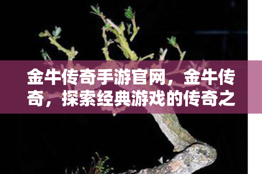 金牛传奇手游官网，金牛传奇，探索经典游戏的传奇之路