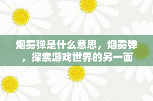 烟雾弹是什么意思，烟雾弹，探索游戏世界的另一面