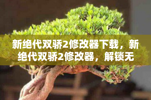 新绝代双骄2修改器下载，新绝代双骄2修改器，解锁无限可能的冒险之旅