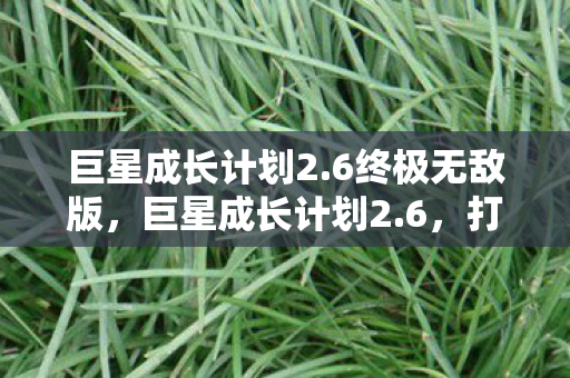 巨星成长计划2.6终极无敌版，巨星成长计划2.6，打造个人品牌的艺术之旅