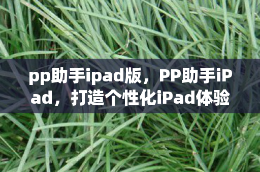pp助手ipad版，PP助手iPad，打造个性化iPad体验
