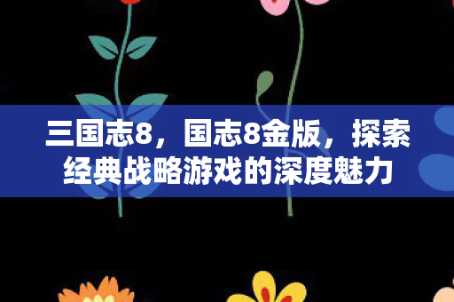 三国志8，国志8金版，探索经典战略游戏的深度魅力