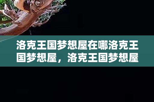 洛克王国梦想屋在哪洛克王国梦想屋，洛克王国梦想屋，探索奇幻王国的奇妙之旅