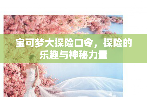 宝可梦大探险口令，探险的乐趣与神秘力量