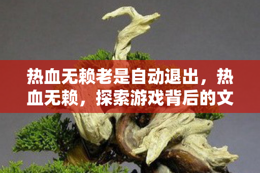 热血无赖老是自动退出，热血无赖，探索游戏背后的文化现象与玩家体验