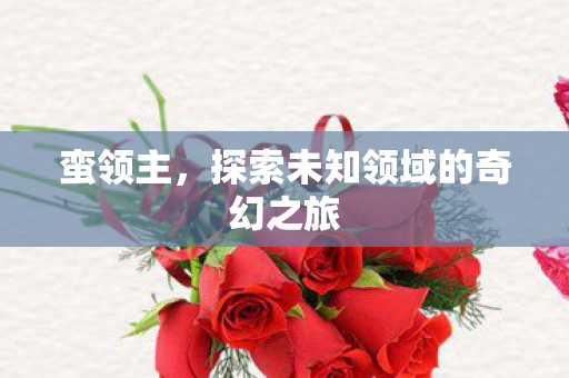 蛮领主，探索未知领域的奇幻之旅